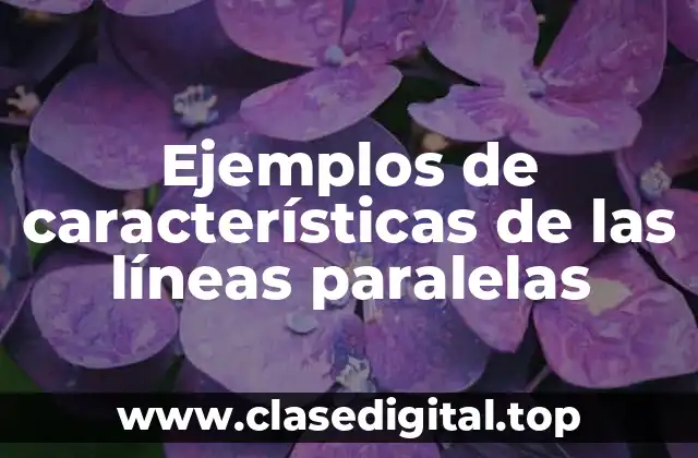 Ejemplos de características de las líneas paralelas