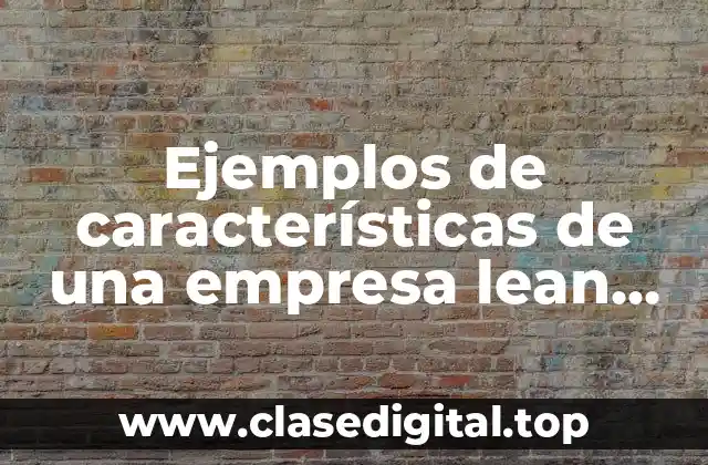 Ejemplos de características de una empresa lean manufacturing