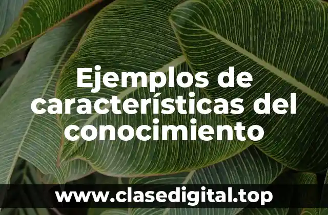 Ejemplos de características del conocimiento