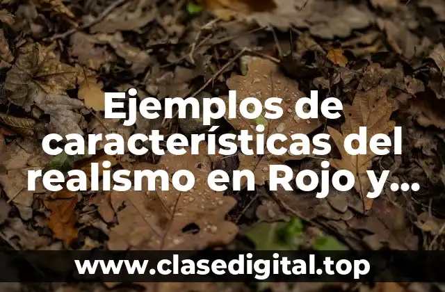 Ejemplos de características del realismo en Rojo y Negro y Significado