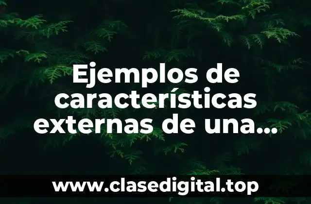 Ejemplos de características externas de una mesa redonda