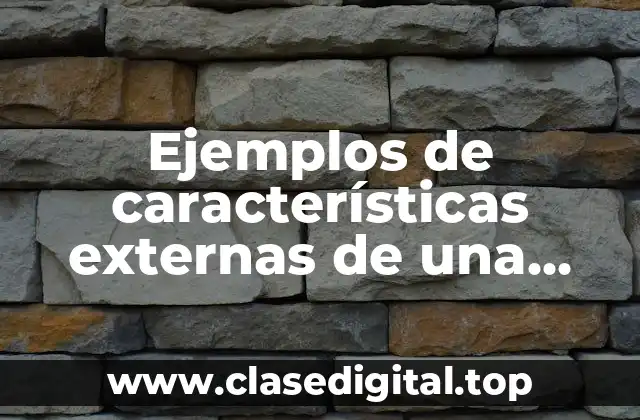 Ejemplos de características externas de una persona