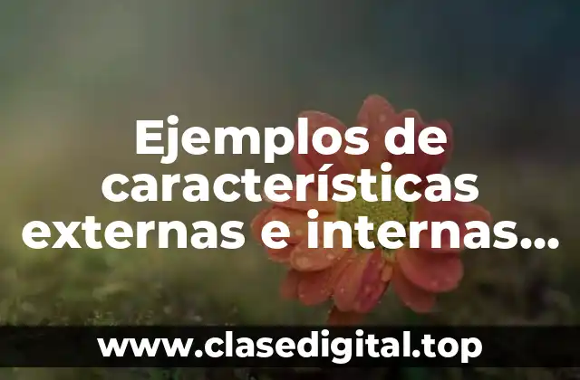 Ejemplos de características externas e internas de los textos funcionales