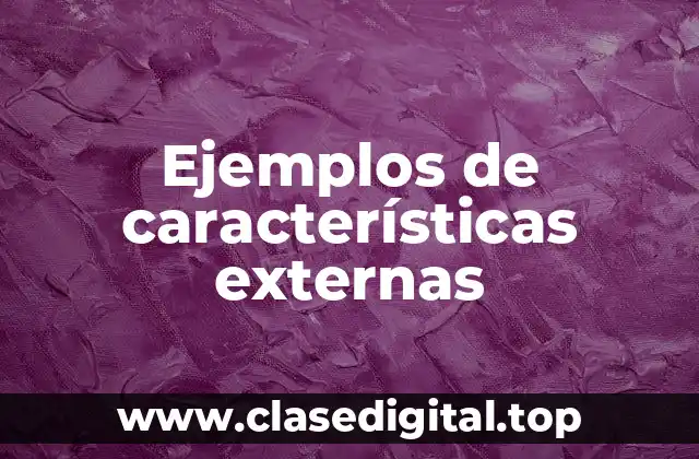 Ejemplos de características externas