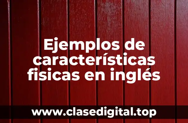 Ejemplos de características fisicas en inglés