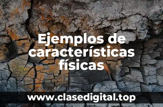 Ejemplos de características físicas