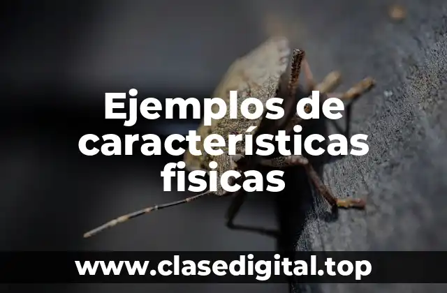 Ejemplos de características fisicas