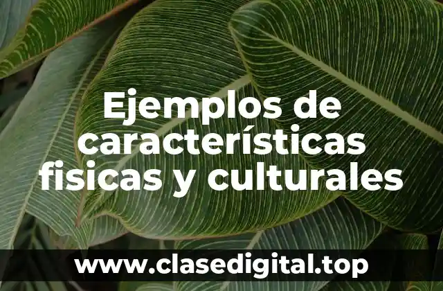 Ejemplos de características fisicas y culturales