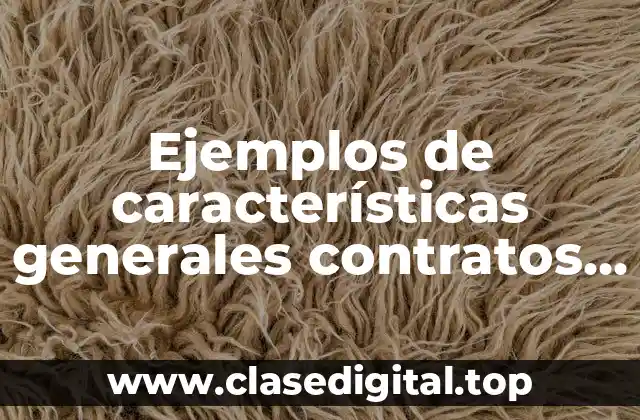 Ejemplos de características generales contratos mercantiles de prestamo