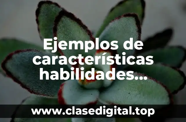 Ejemplos de características habilidades directivas