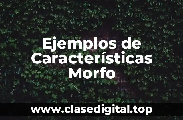 Ejemplos de Características Morfo