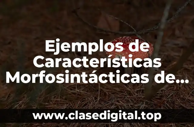 Ejemplos de Características Morfosintácticas de Argentina