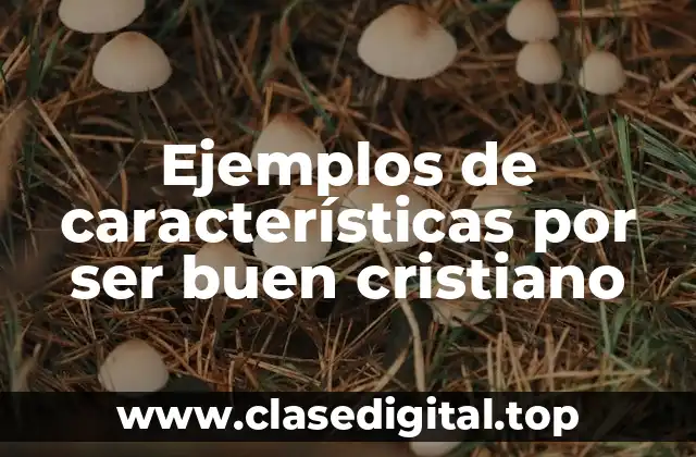 Ejemplos de características por ser buen cristiano