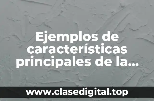 Ejemplos de características principales de la gestión financiera