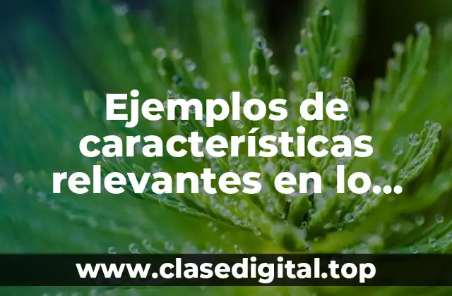 Ejemplos de características relevantes en lo sociales y culturales