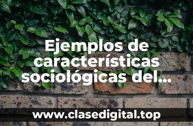 Ejemplos de características sociológicas del segmento del mercado y Significado