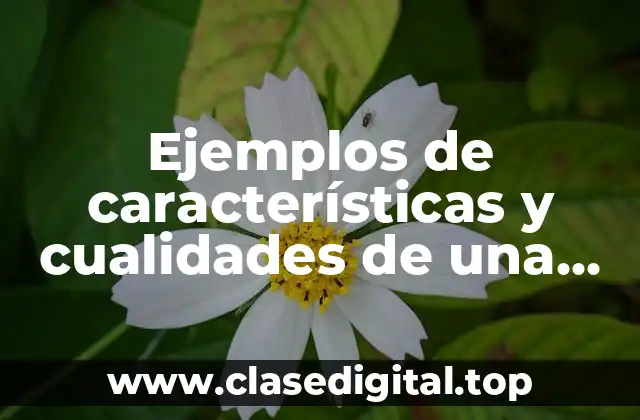 Ejemplos de características y cualidades de una persona