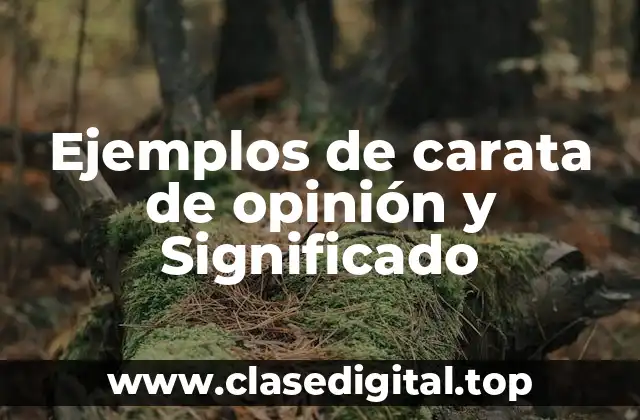 Ejemplos de carata de opinión y Significado