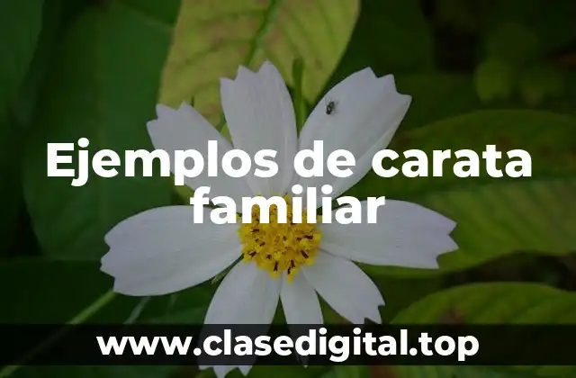 Ejemplos de carata familiar