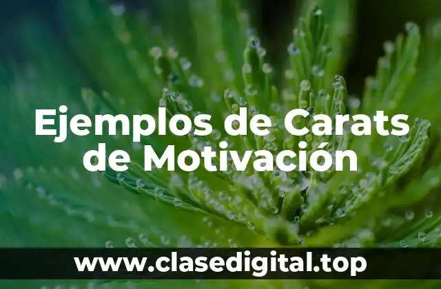 Ejemplos de Carats de Motivación