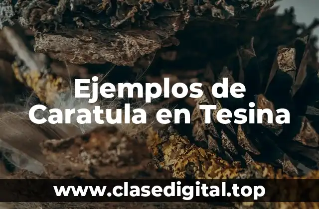 Ejemplos de Caratula en Tesina