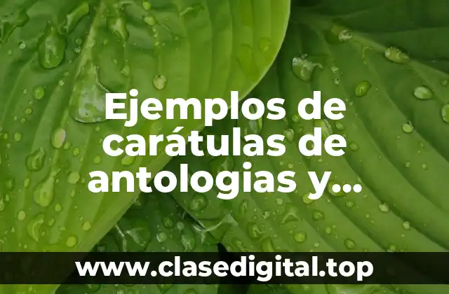 Ejemplos de carátulas de antologias y Significado