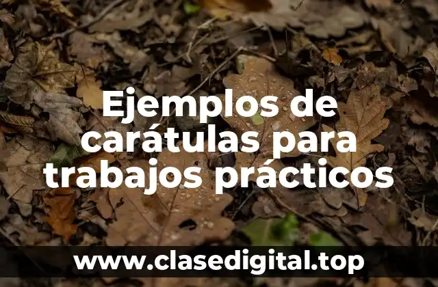 Ejemplos de carátulas para trabajos prácticos