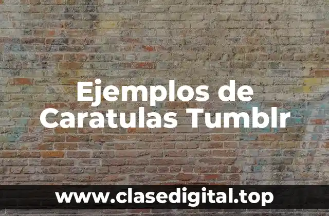 Ejemplos de Caratulas Tumblr