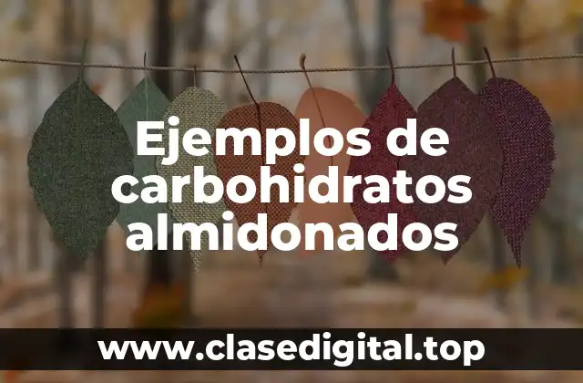 Ejemplos de carbohidratos almidonados
