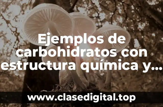 Ejemplos de carbohidratos con estructura química