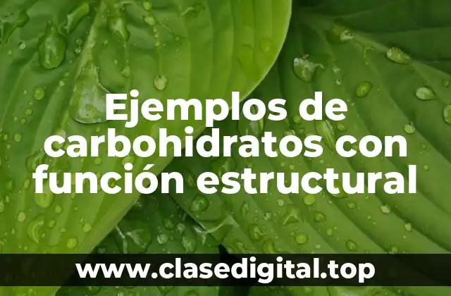 Ejemplos de carbohidratos con función estructural