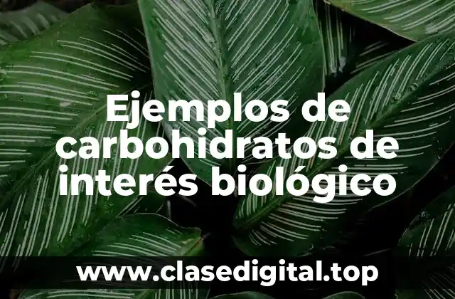 Ejemplos de carbohidratos de interés biológico