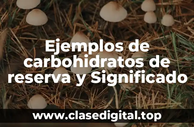 Ejemplos de carbohidratos de reserva