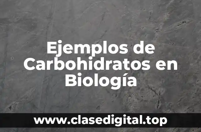Ejemplos de Carbohidratos en Biología