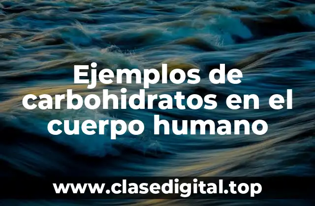 Ejemplos de carbohidratos en el cuerpo humano