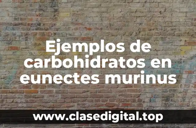 Ejemplos de carbohidratos en eunectes murinus