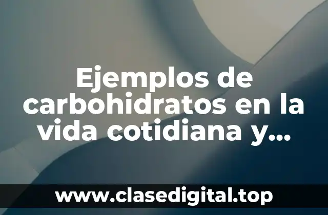 Ejemplos de carbohidratos en la vida cotidiana y Significado