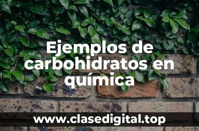 Ejemplos de carbohidratos en química