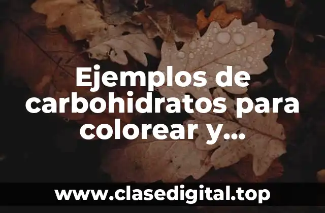 Ejemplos de carbohidratos