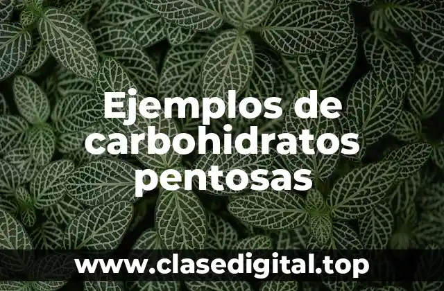 Ejemplos de carbohidratos pentosas