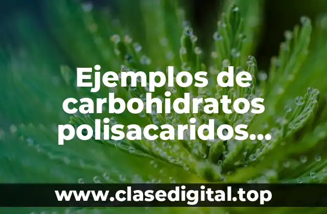 Ejemplos de carbohidratos polisacaridos estructurales