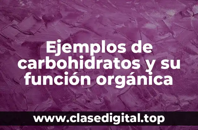 Ejemplos de carbohidratos