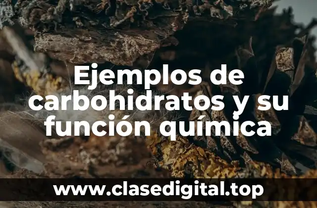 Ejemplos de carbohidratos y su función química