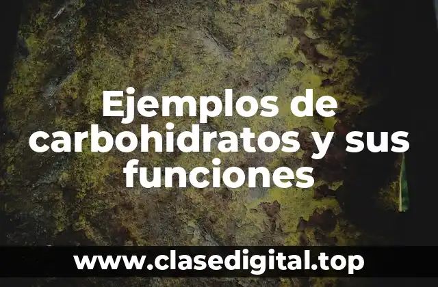 Ejemplos de carbohidratos y sus funciones