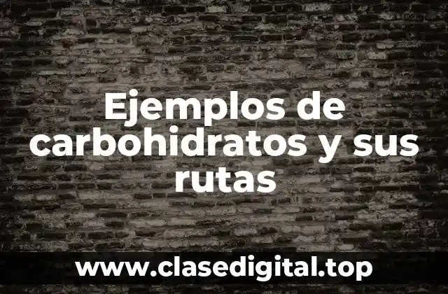 Ejemplos de carbohidratos y sus rutas