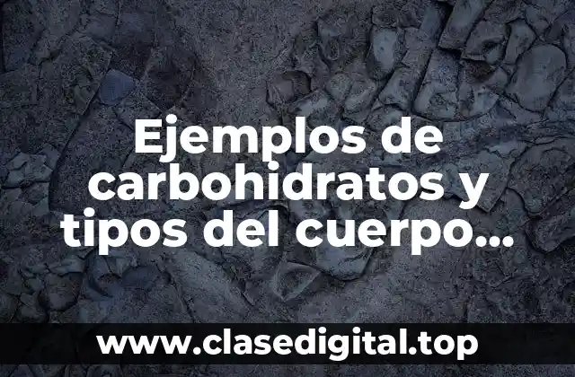 Ejemplos de carbohidratos y tipos del cuerpo humano química