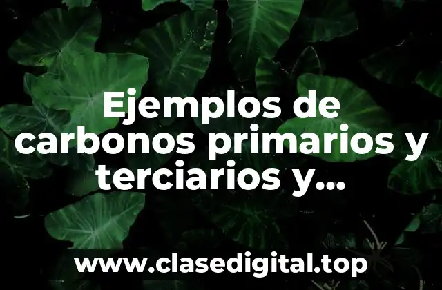Ejemplos de carbonos primarios y terciarios