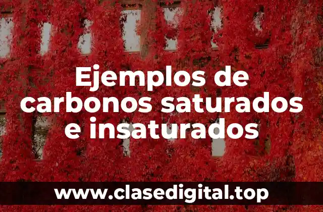 Ejemplos de carbonos saturados e insaturados