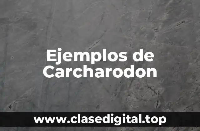Ejemplos de Carcharodon