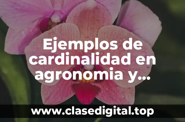 Ejemplos de cardinalidad en agronomia y Significado